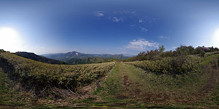 明神ヶ岳 山頂